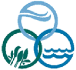 MS-logo.png